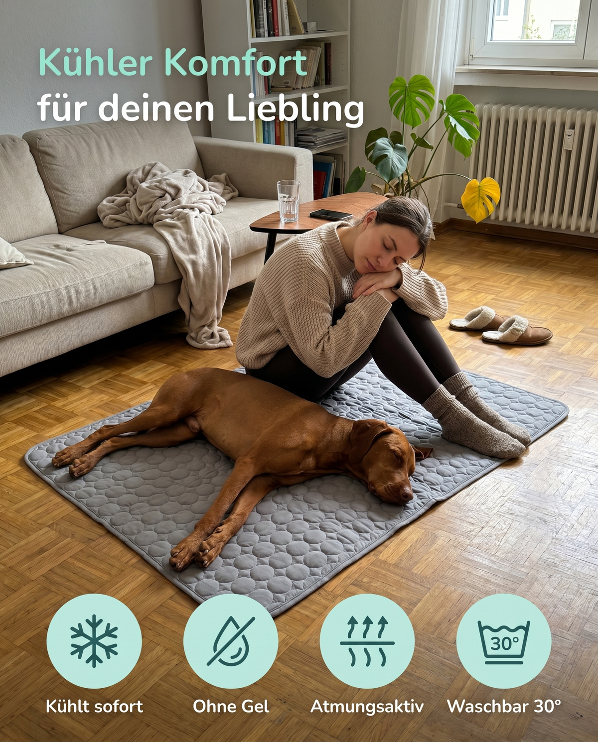 Damit dein Hund den Sommer endlich genießt.