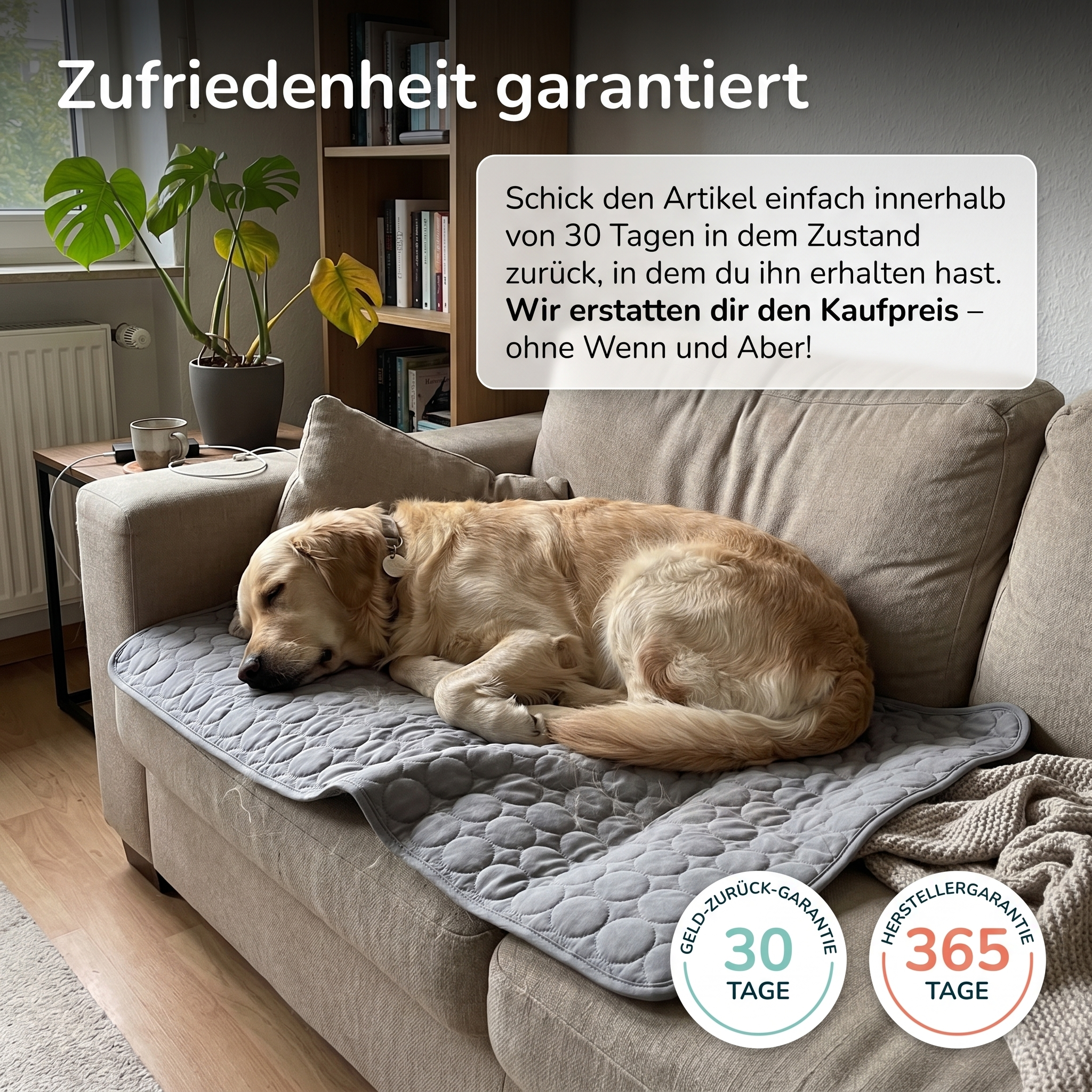 Fellido TriCool™ | Kühlmatte für Hunde