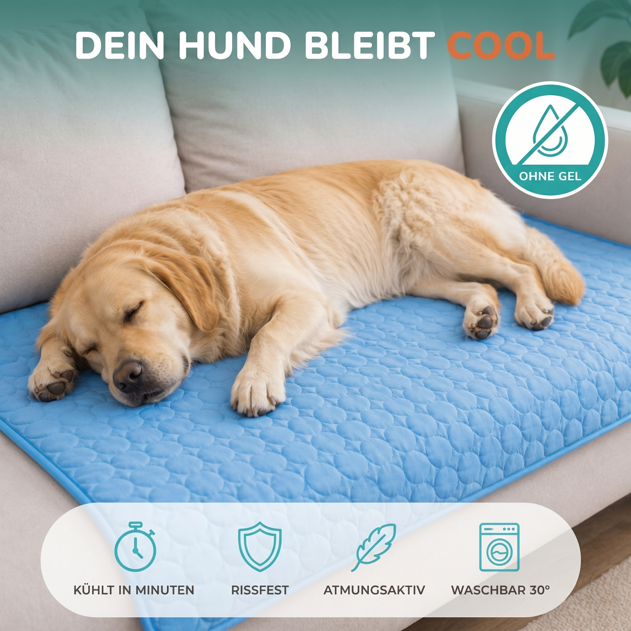 Fellido TriCool™ | Kühlmatte für Hunde